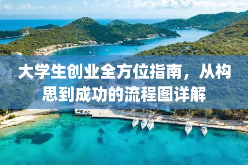 大学生创业全方位指南，从构思到成功的流程图详解