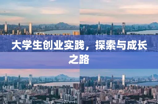 大学生创业实践，探索与成长之路