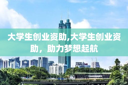 大学生创业资助,大学生创业资助，助力梦想起航