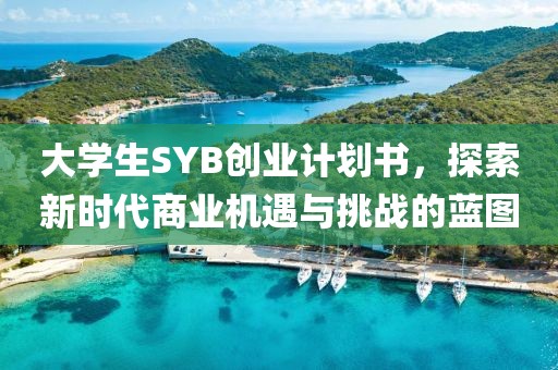 大学生SYB创业计划书，探索新时代商业机遇与挑战的蓝图