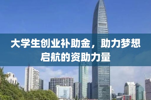 大学生创业补助金，助力梦想启航的资助力量