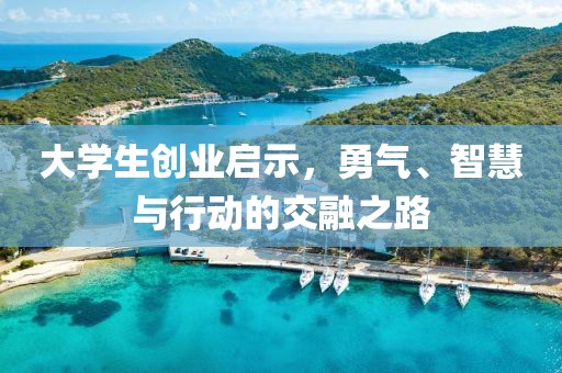 大学生创业启示，勇气、智慧与行动的交融之路