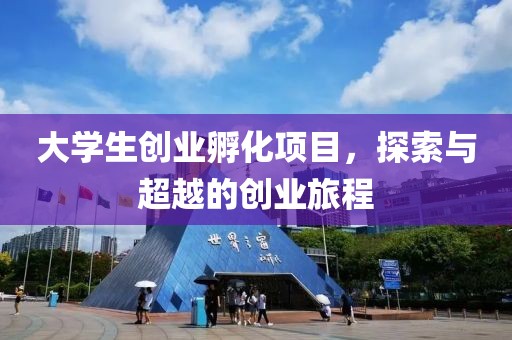 大学生创业孵化项目，探索与超越的创业旅程