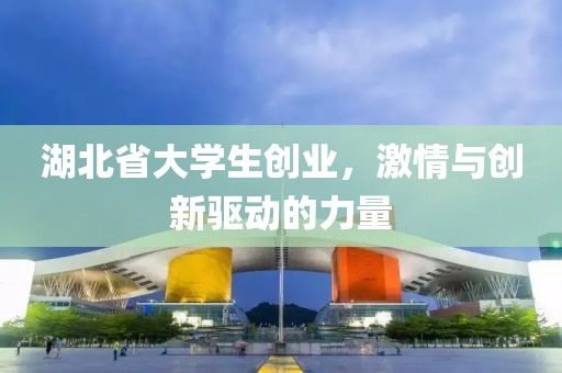 湖北省大学生创业，激情与创新驱动的力量