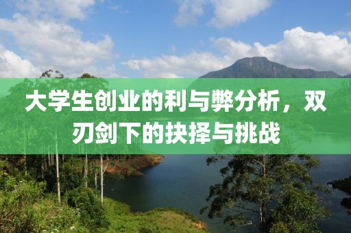 大学生创业的利与弊分析，双刃剑下的抉择与挑战