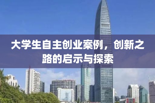 大学生自主创业案例，创新之路的启示与探索