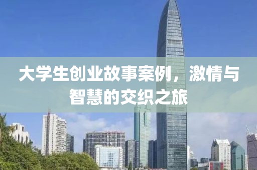 大学生创业故事案例，激情与智慧的交织之旅