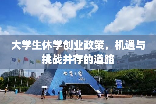 大学生休学创业政策，机遇与挑战并存的道路