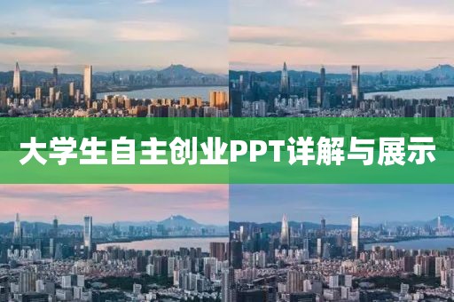 大学生自主创业PPT详解与展示