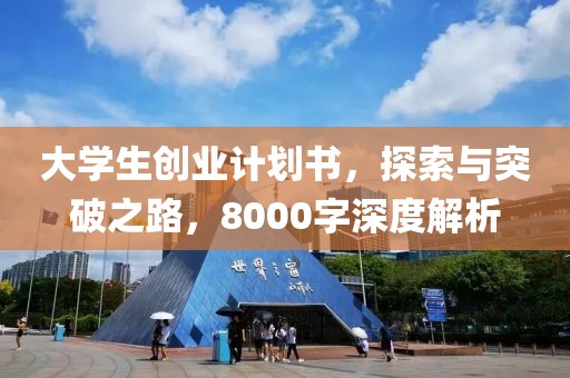 大学生创业计划书，探索与突破之路，8000字深度解析