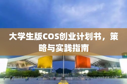 大学生版COS创业计划书，策略与实践指南