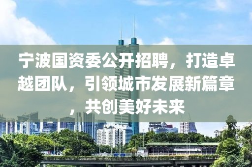 宁波国资委公开招聘，打造卓越团队，引领城市发展新篇章，共创美好未来