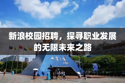 新浪校园招聘，探寻职业发展的无限未来之路