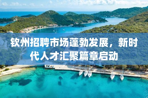 钦州招聘市场蓬勃发展，新时代人才汇聚篇章启动