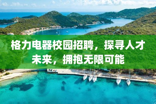 格力电器校园招聘，探寻人才未来，拥抱无限可能