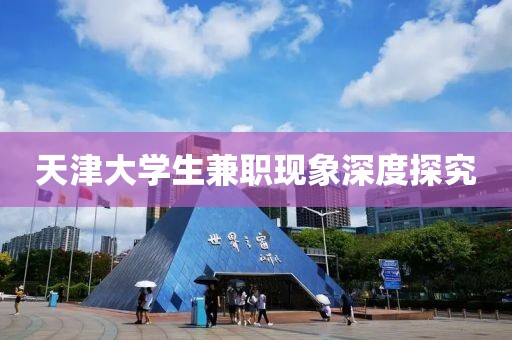 天津大学生兼职现象深度探究