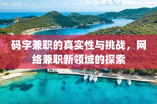 码字兼职的真实性与挑战，网络兼职新领域的探索