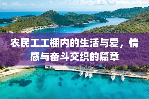 农民工工棚内的生活与爱，情感与奋斗交织的篇章